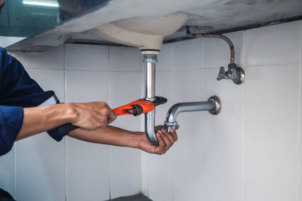 Best Plumbing Inspection Services  in Timnath, CO